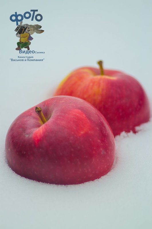 Яблоки на снегу - Руслан Васьков