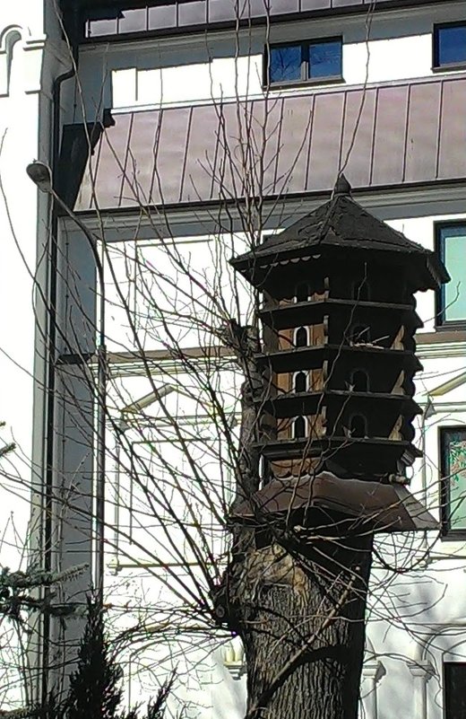 Птичий домик - Надежда Буранова 