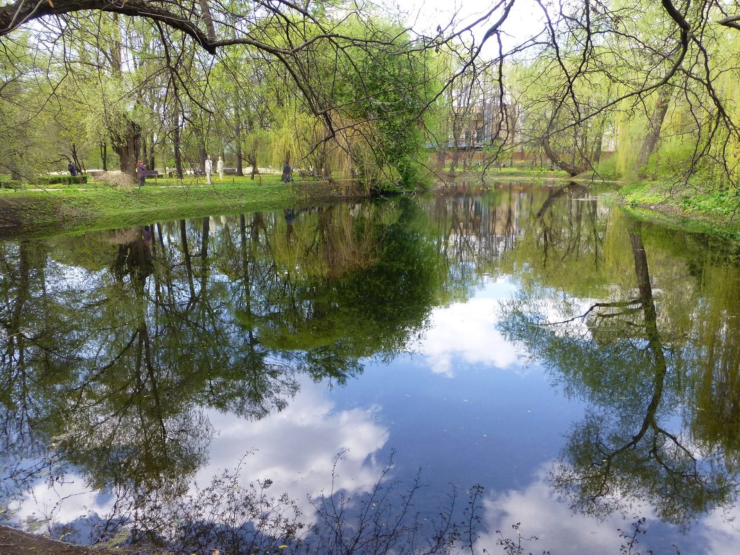 Старинный пруд в Аптекарском огороде - Лидия Бусурина