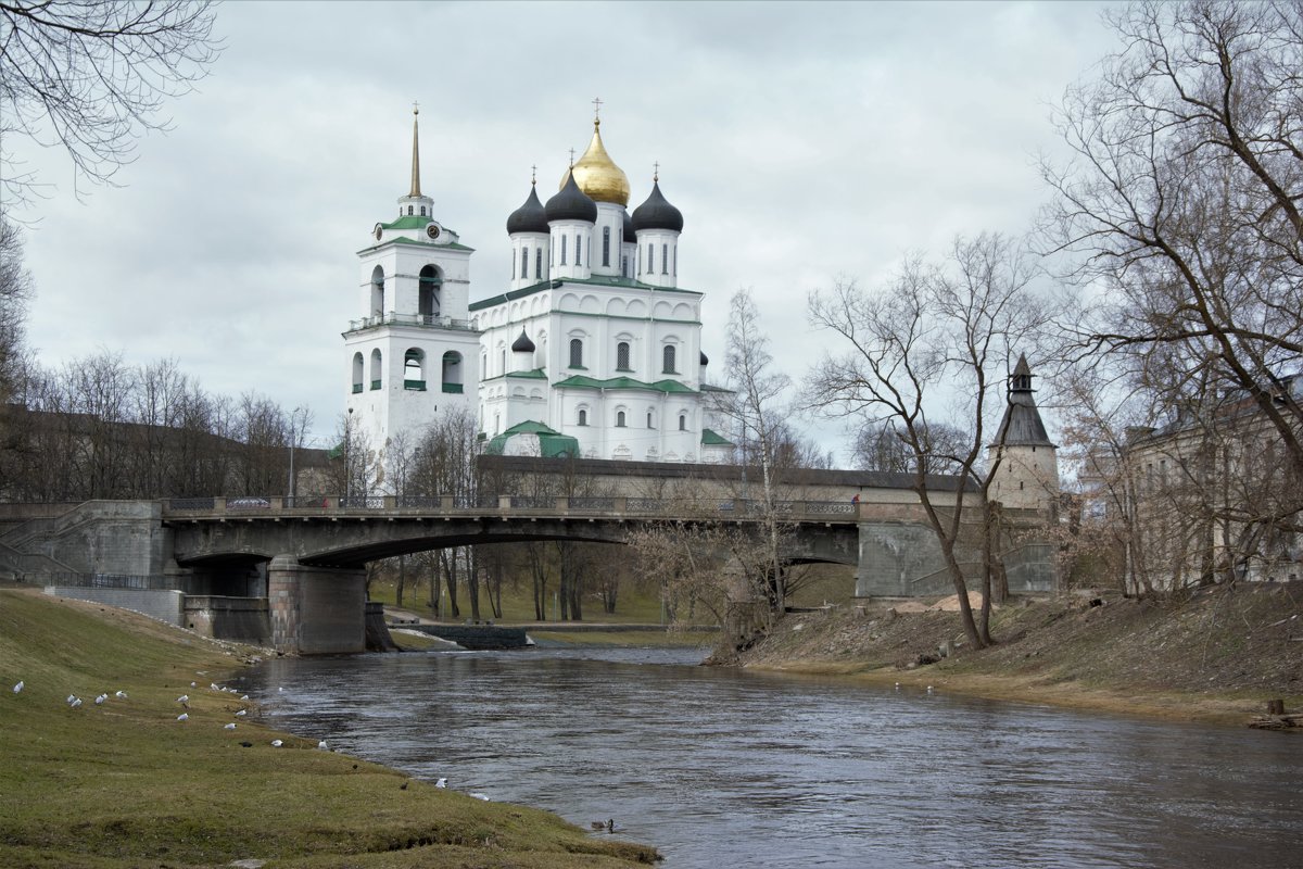 псков - Елена 