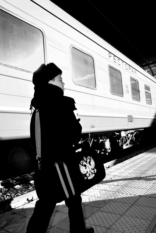 По дороге к поезду... - Дмитрий Петренко