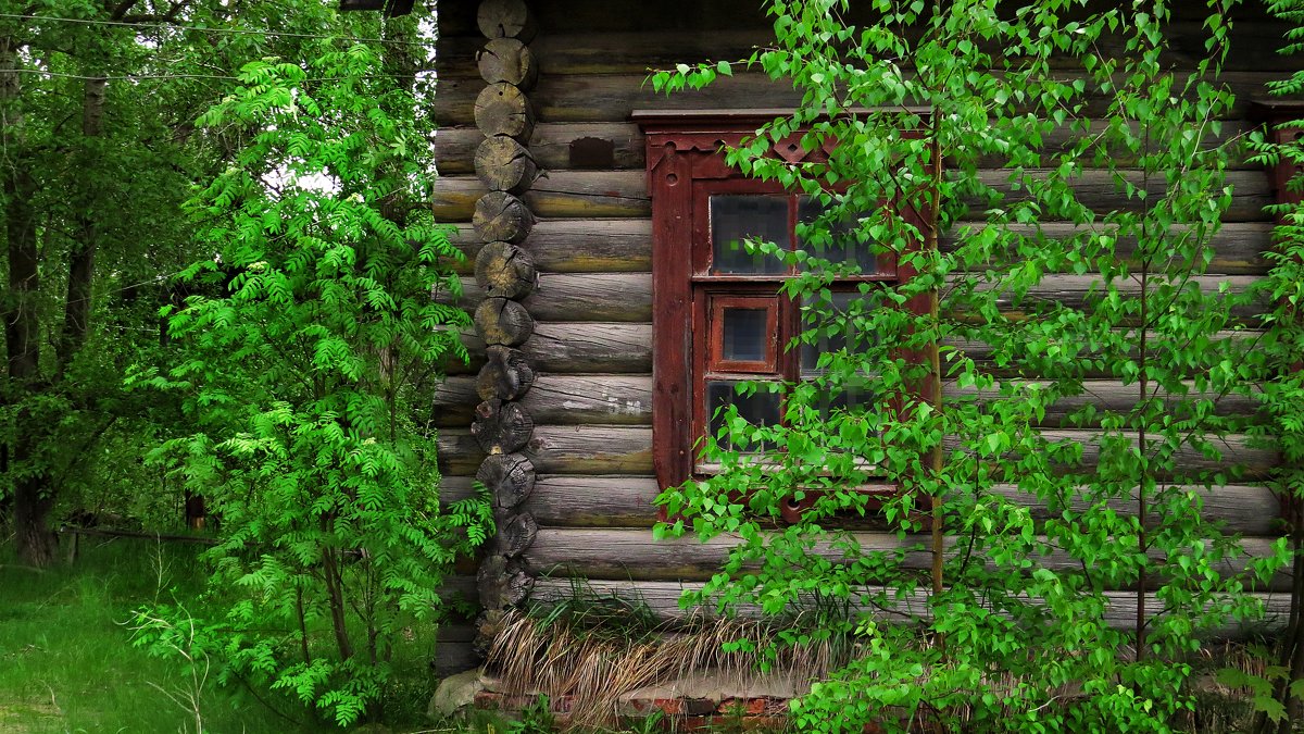 Домик окнами в сад.... - Елена Швецова