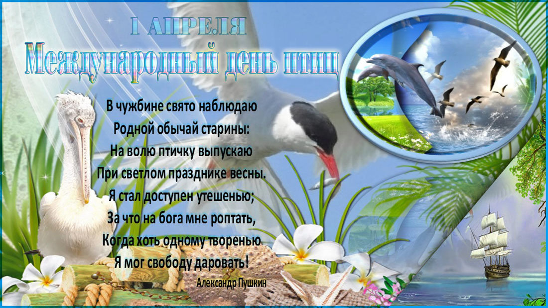 Международный день птиц - Nikolay Monahov