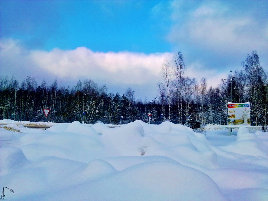 городской пейзаж - Владимир 