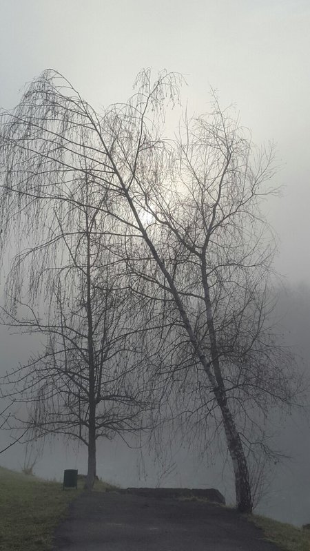 Туман - Роман Савоцкий
