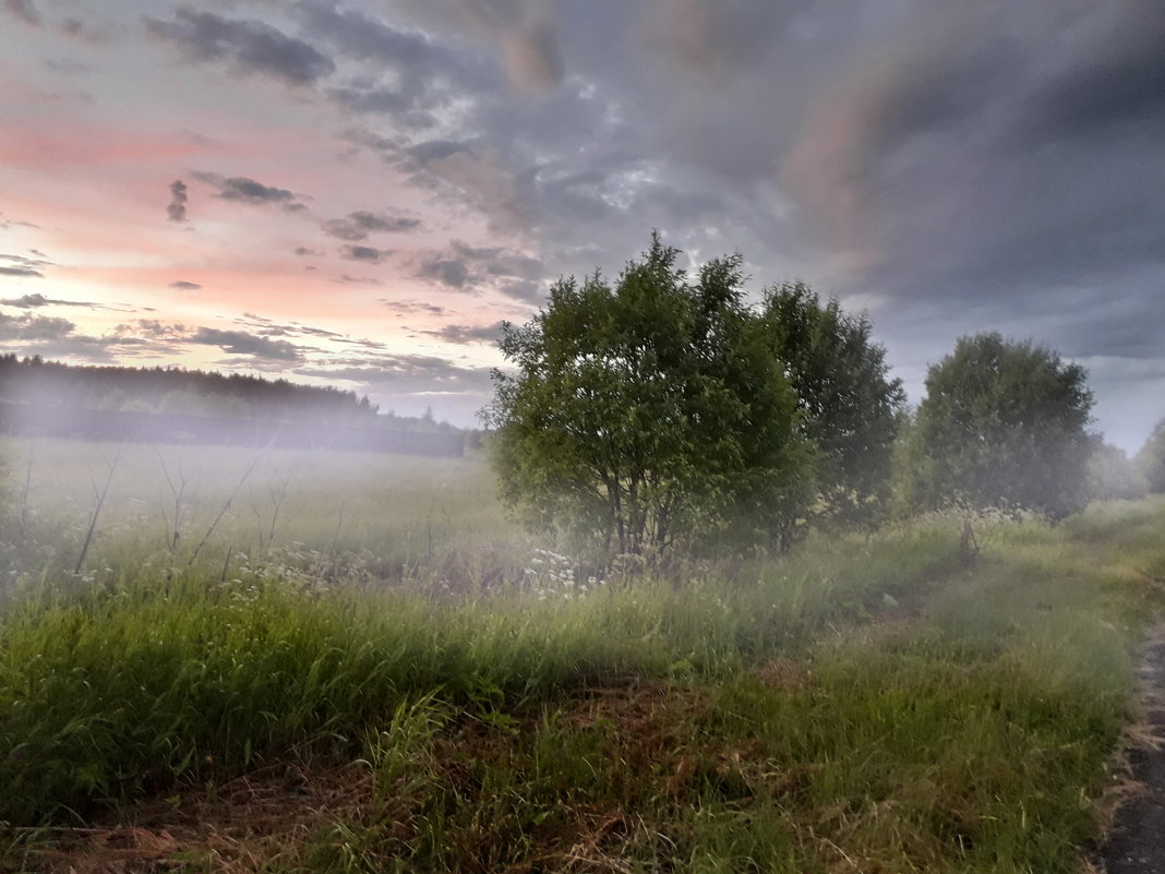 Мокрая трава ложилась туманом - Лара Симонова 