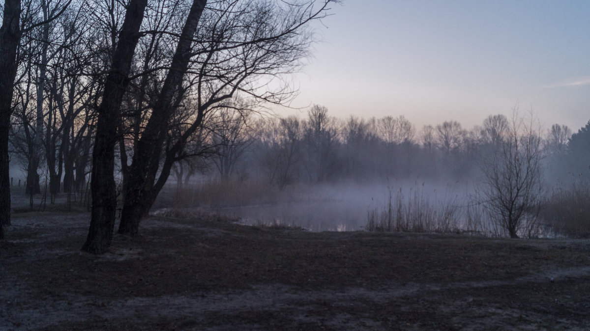 утренний туман - Swjatoslaw 