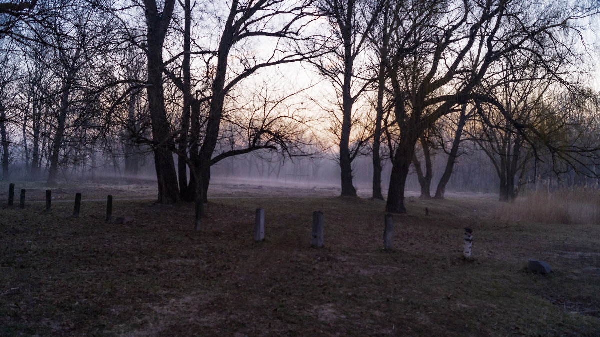 туманное утро - Swjatoslaw 