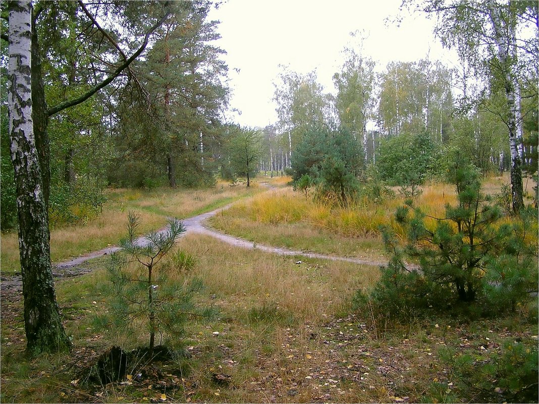 Стежки - дорожки - Геннадий Худолеев Худолеев