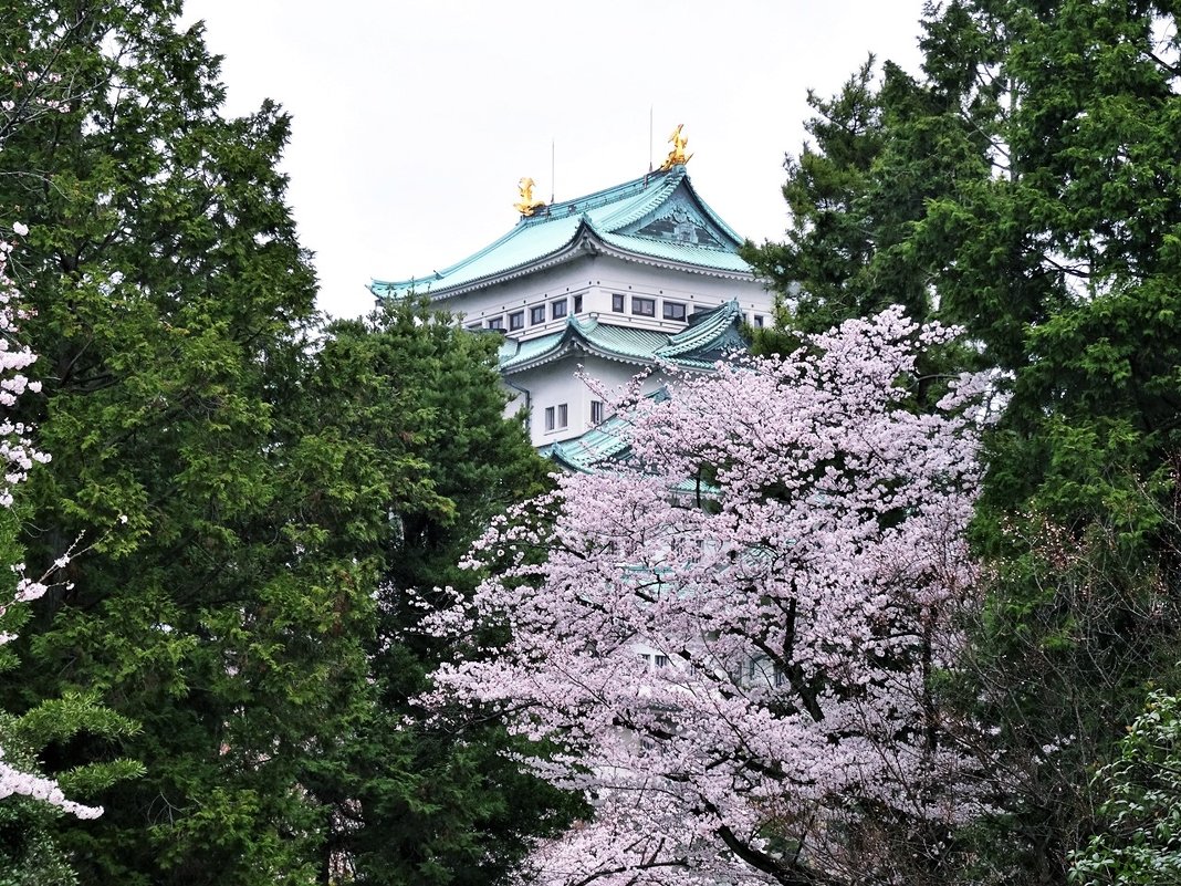 Замок Нагоя Япония - wea *
