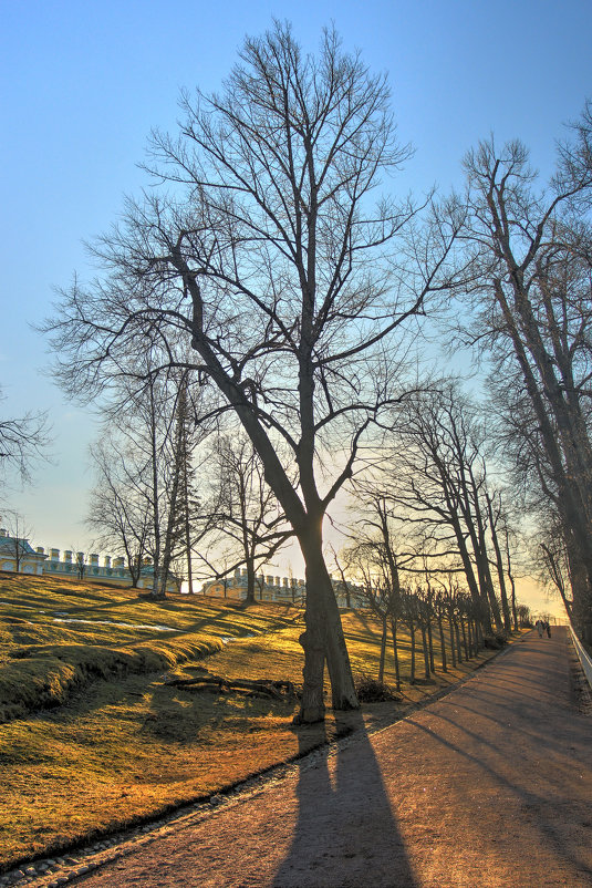 В парке - Сергей Григорьев