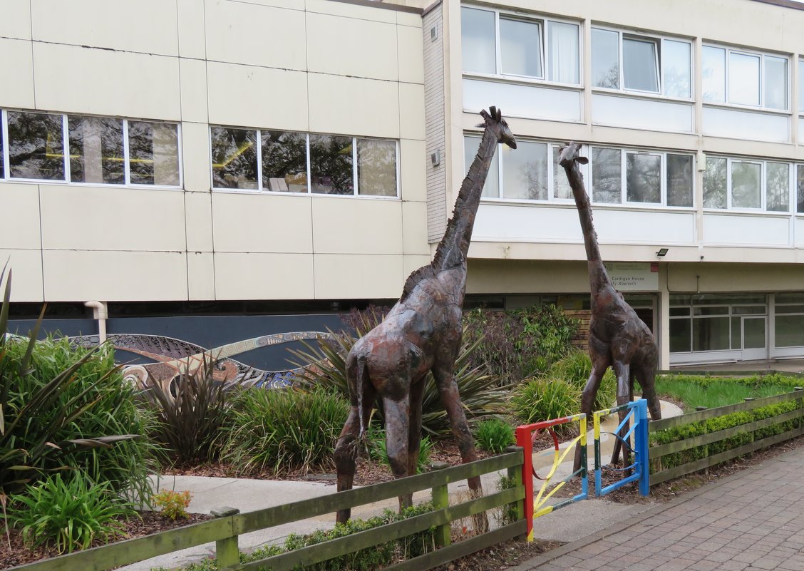 Скульптура жирафов - Natalia Harries