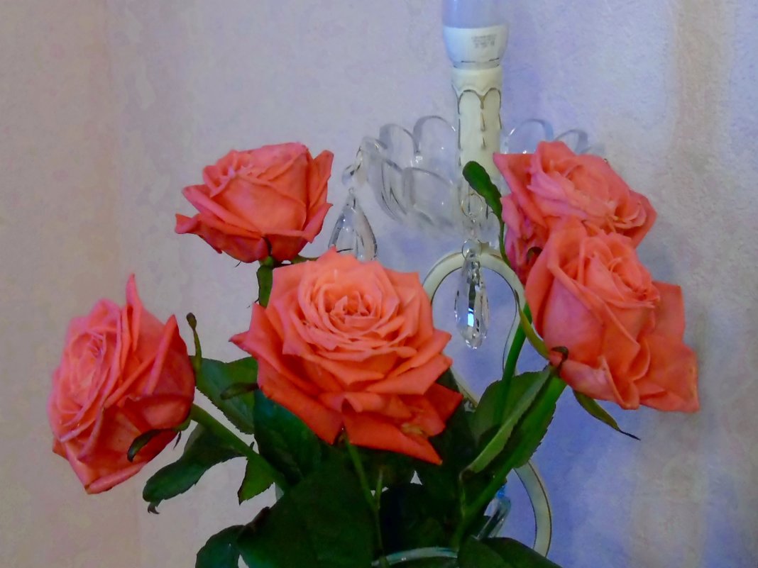 Розы - Наталья Цыганова 