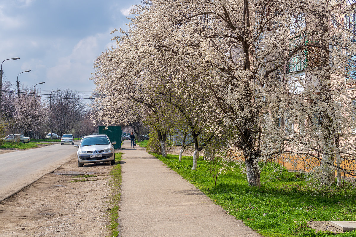 В последний день марта - Игорь Сикорский