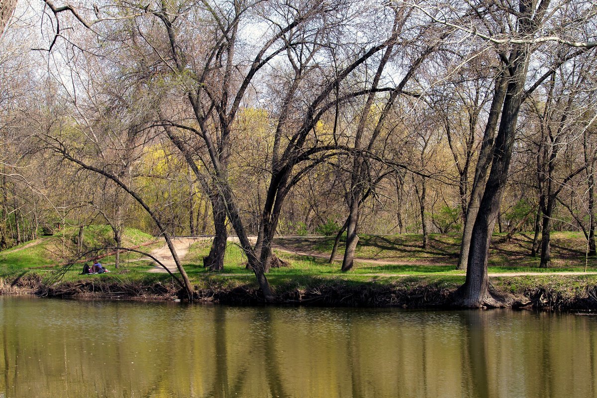 Весны приметы... - barsuk lesnoi