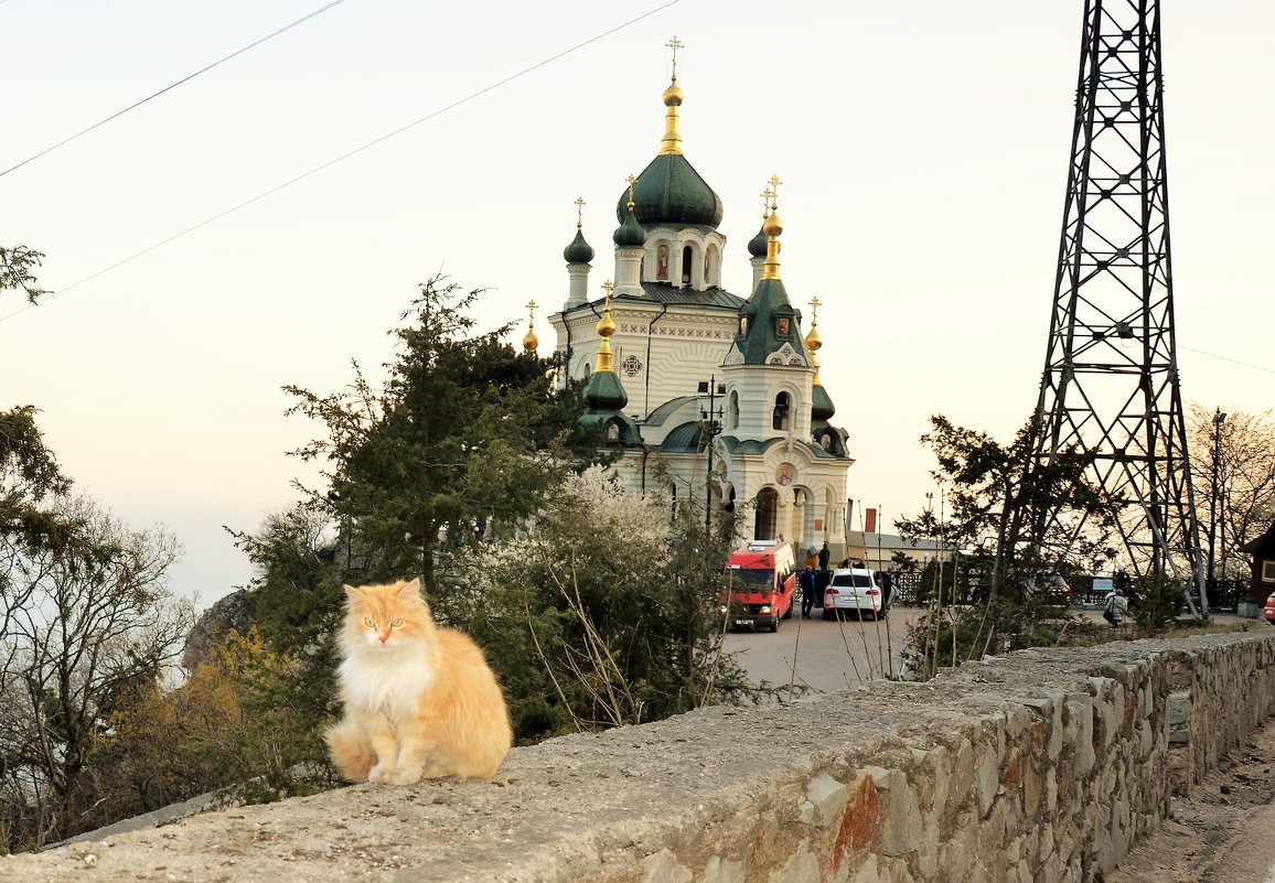 Рыжий кот и Церковь Воскресения Христова над Форосом - Lyudmyla Pokryshen