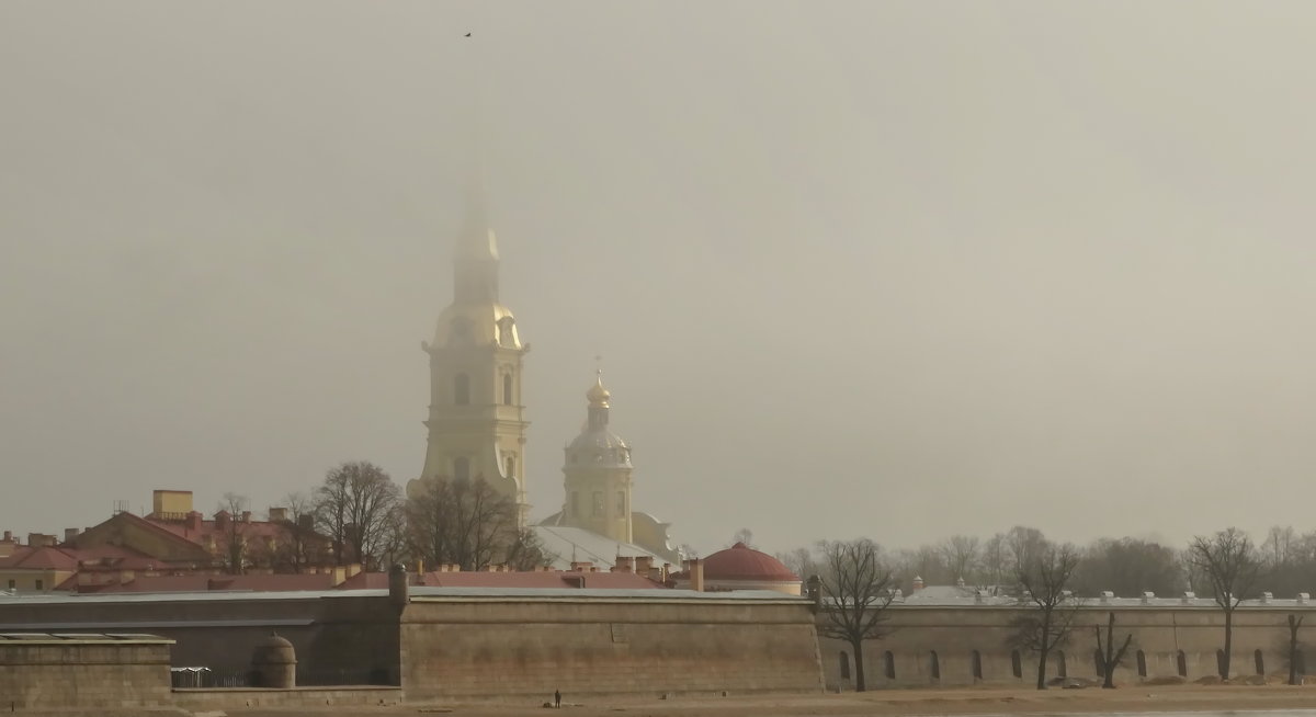 Вид на крепость в тумане со стрелки ВО - Владимир Гилясев
