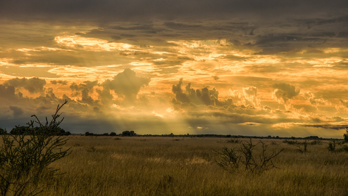 Небо Африки - svabboy photo