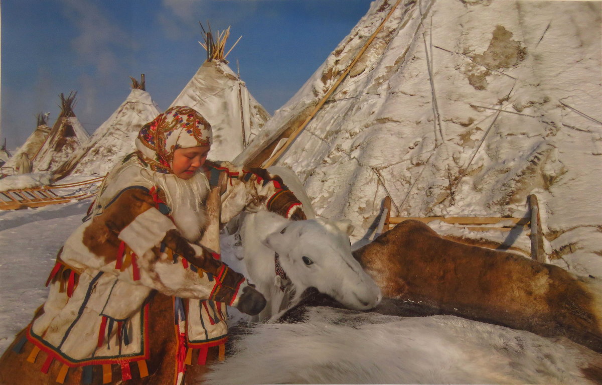 Наша Арктика (моё фото чужого фото) - Андрей Лукьянов