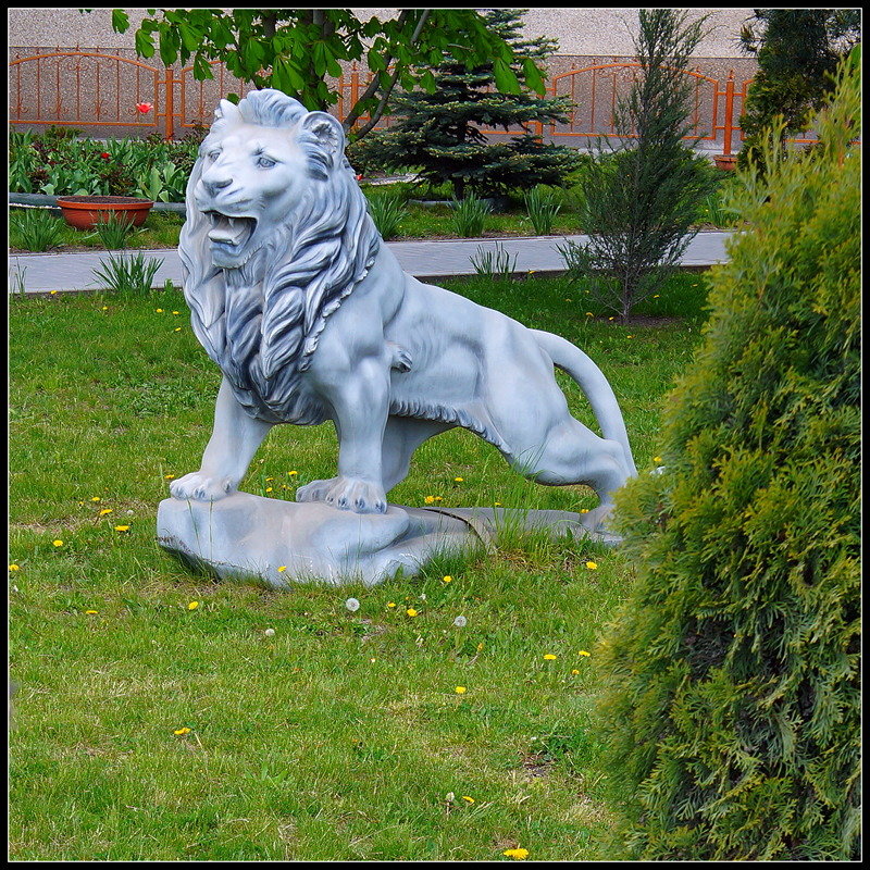 Белгородские львы - Сеня Белгородский