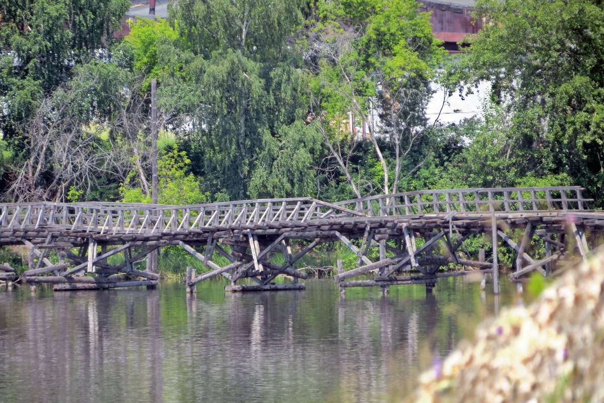 Старый мост - Вера Щукина