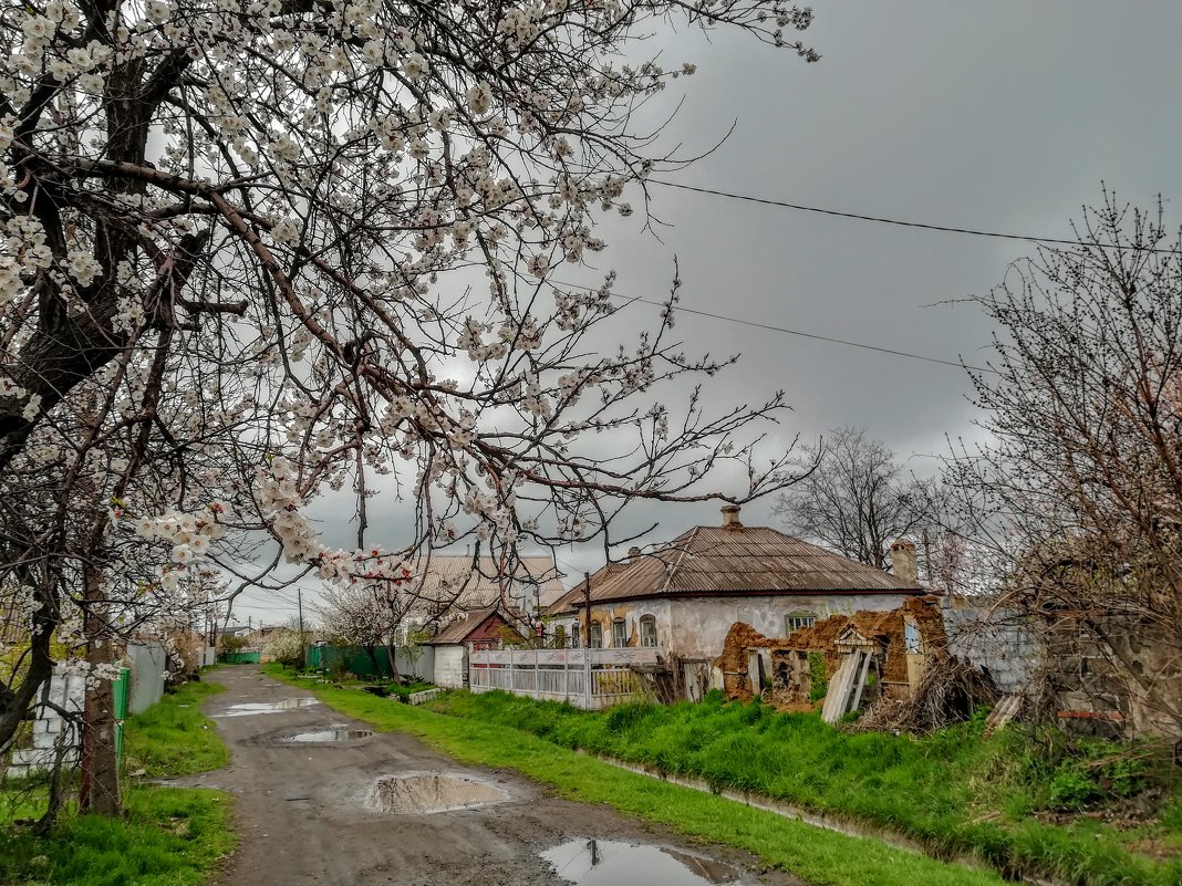 Апрель - Дмитрий фотограф