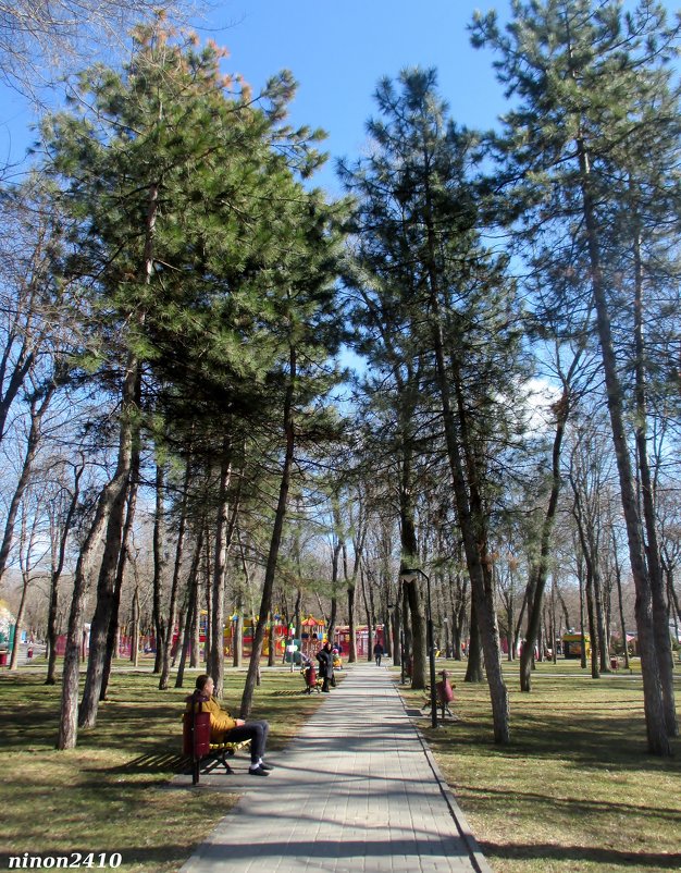 В городском парке - Нина Бутко