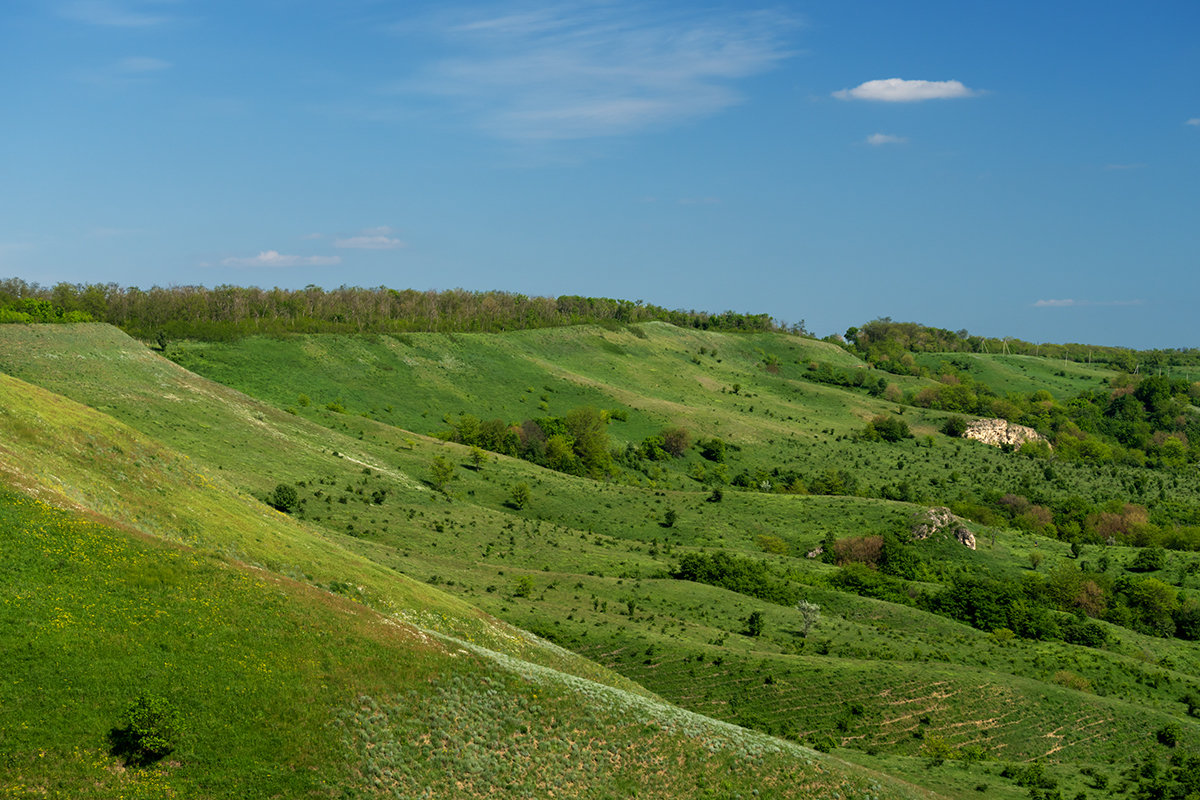 Загородная прогулка - Игорь Сикорский