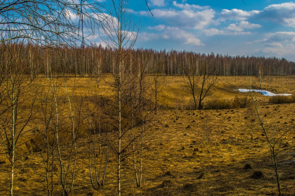 Весной в овраге у ручья - Виктор Корочкин 