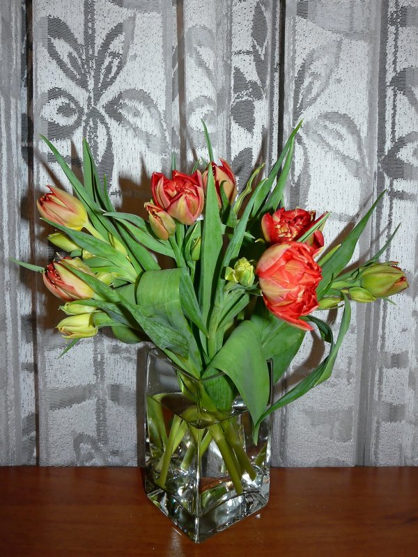 Букет алых тюльпанов - Наталья Цыганова 