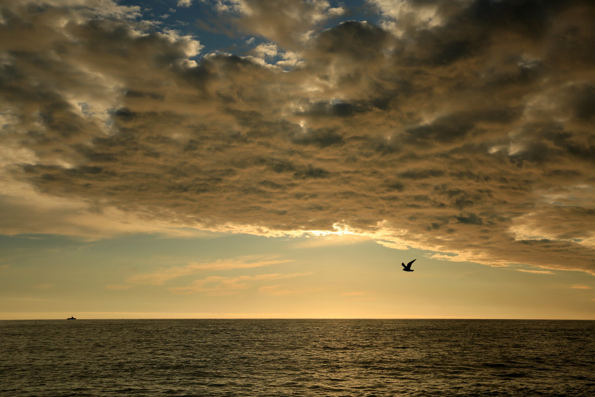 Небо на закате - valeriy khlopunov