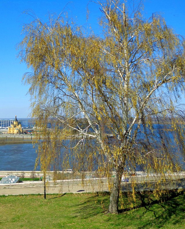 Весна в городе. - Наталья Сазонова