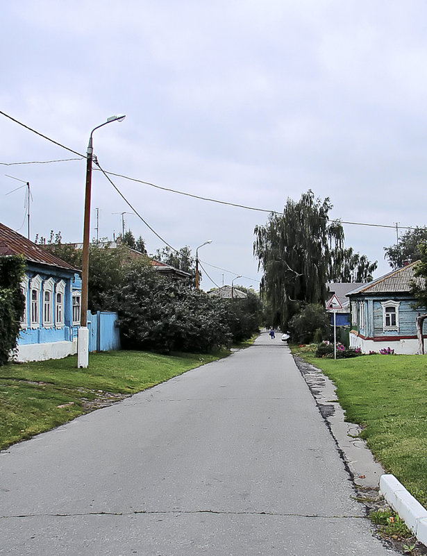 Сельская улица - Nikolay Monahov