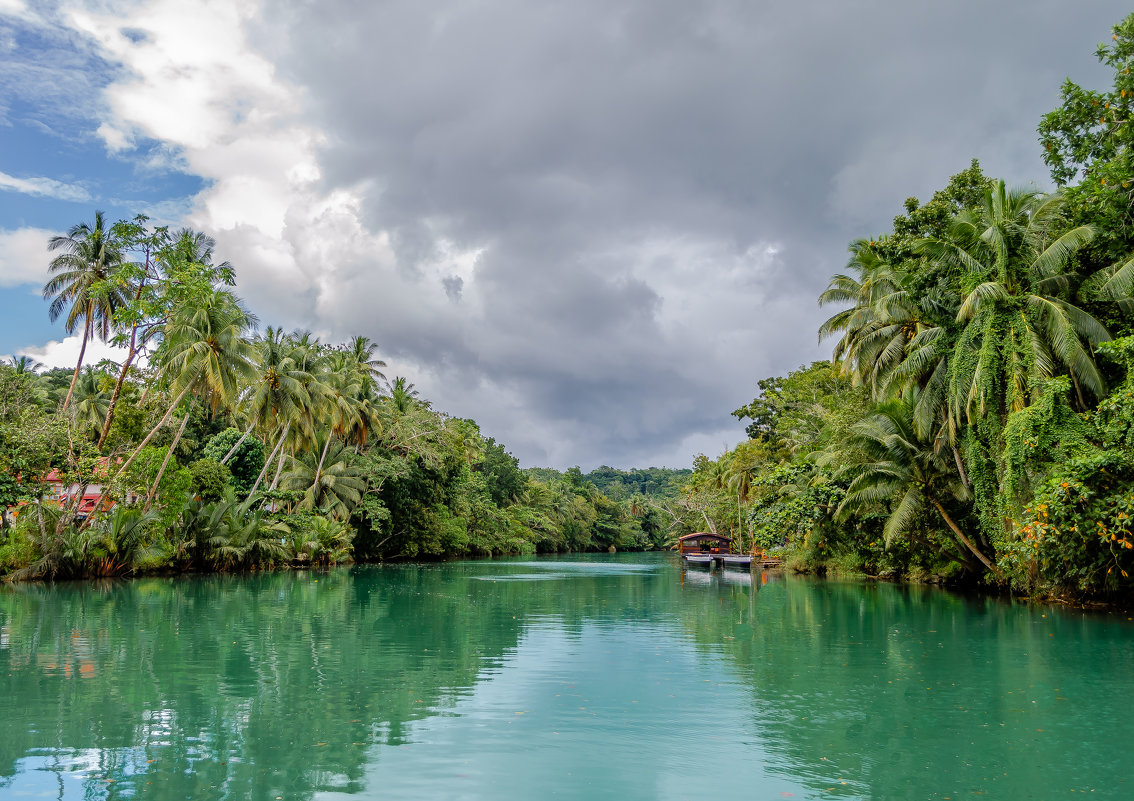 Река Лобок, остров Бохол, Филиппины. - Edward J.Berelet