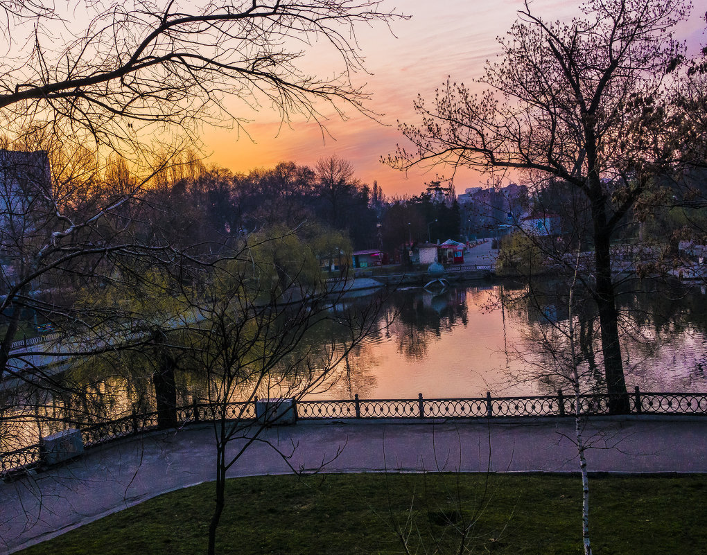 утро в парке - олег добрый