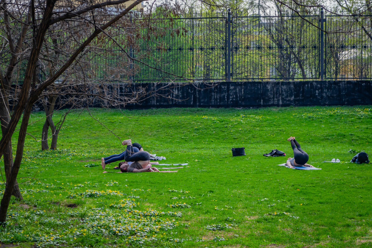 YOGA. ЙОГА - Сергей Янович Микк