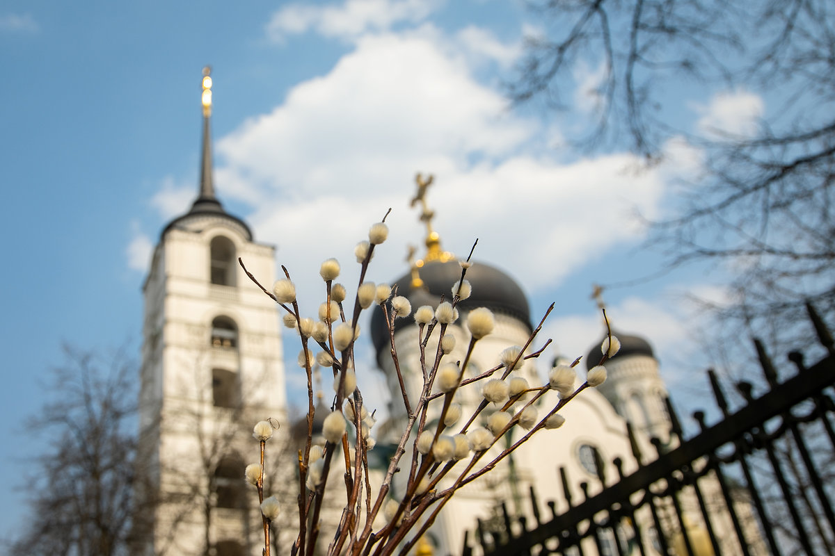 Вербное воскресенье в Дивеево