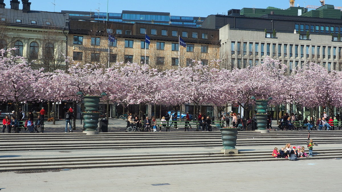 Стокгольм Королевский сад - wea *