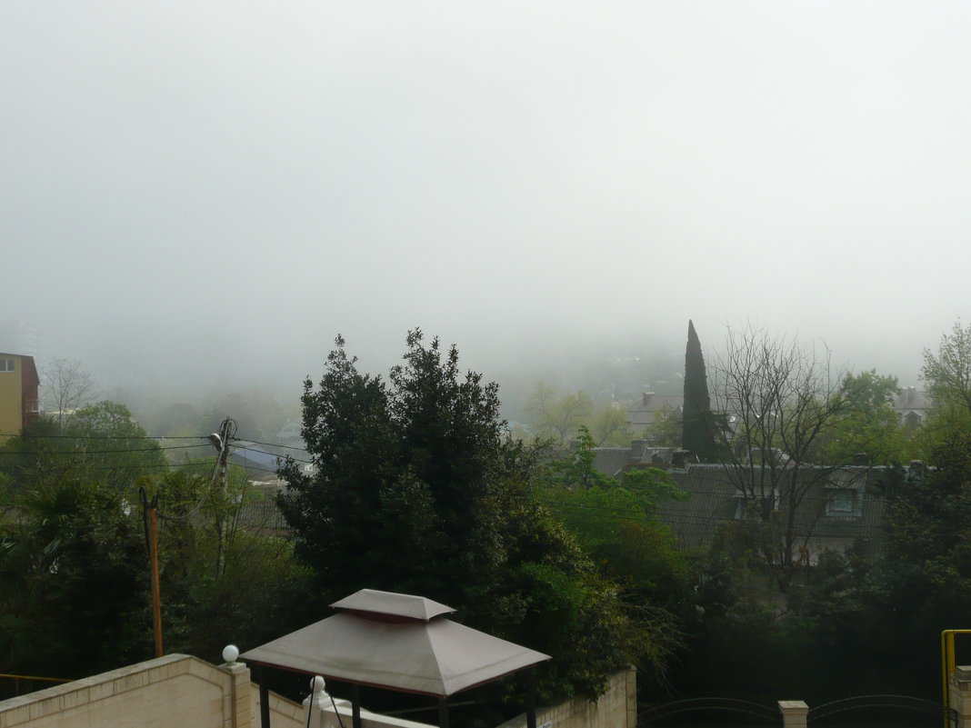 Туман над Дагомысом - Виктор 