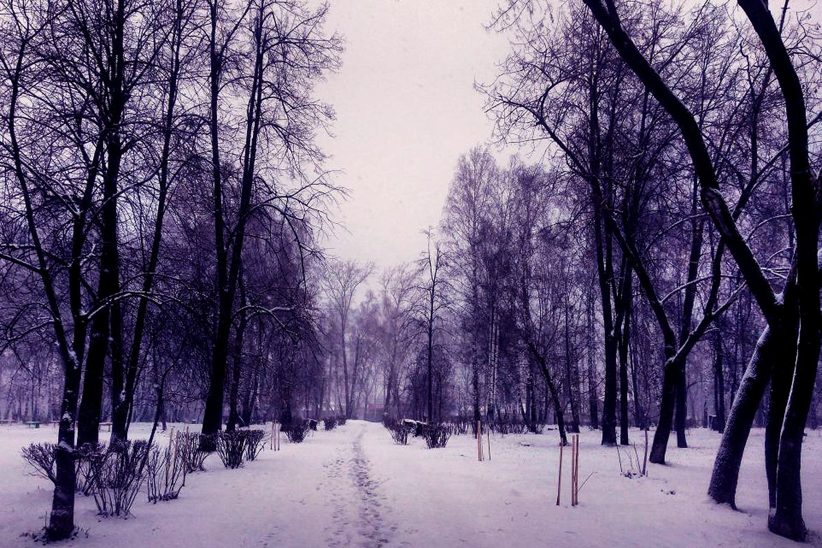 Снег в конце Апреля... - Дмитрий Петренко