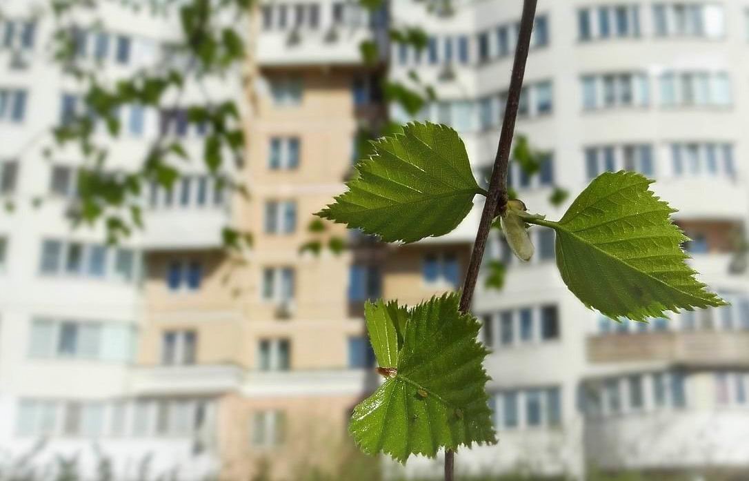 Весна в городе - Ирина Via
