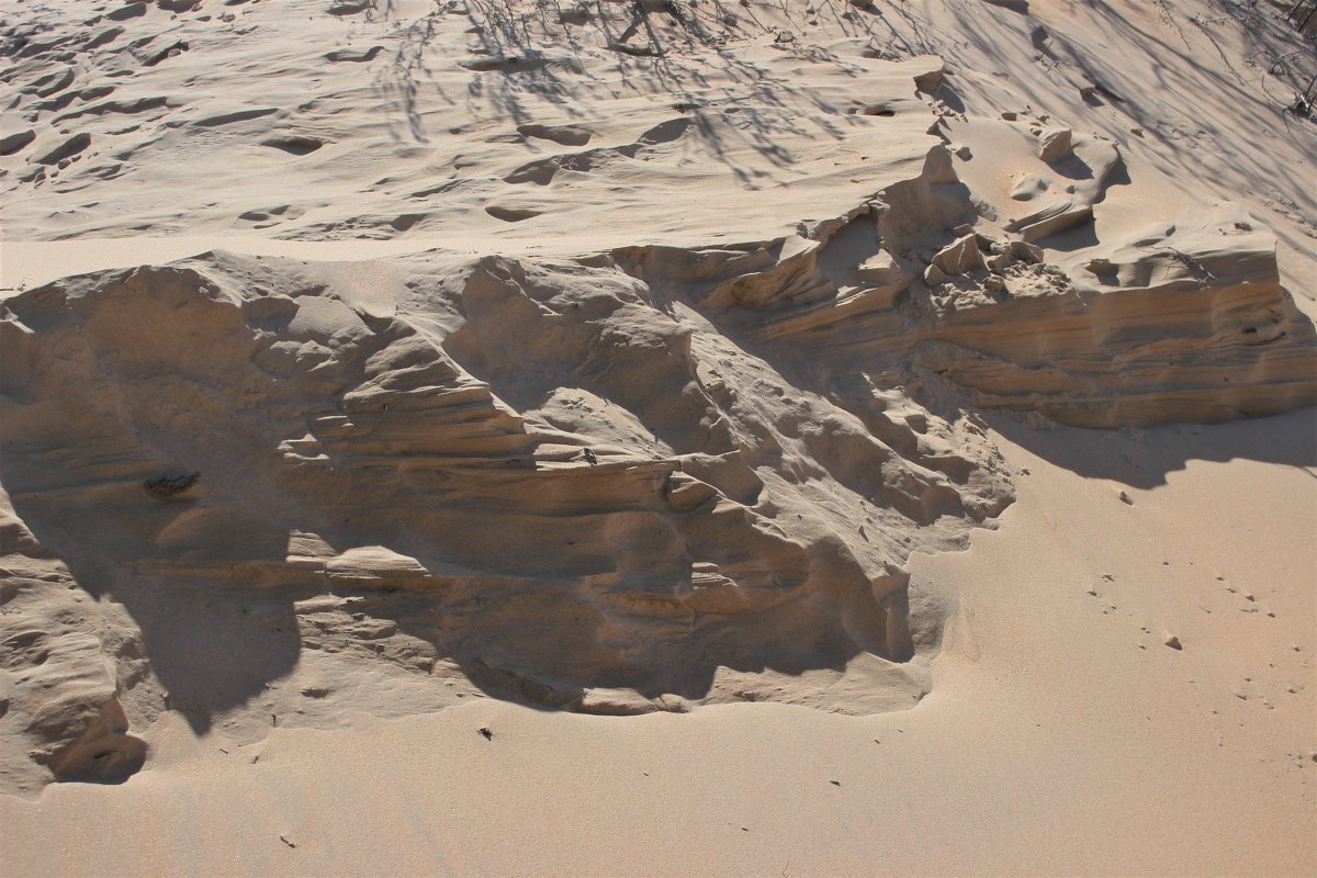 Песчаные дюны. - Ираида Мишурко