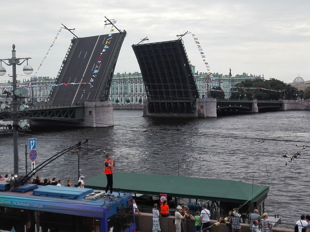 Дворцовый мост - Вера Щукина