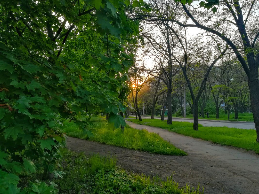 Прогулка перед фильмом по городу - Дмитрий фотограф