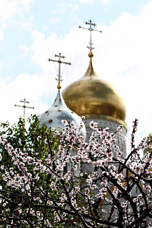 Весна в монастыре - Nikolay Monahov
