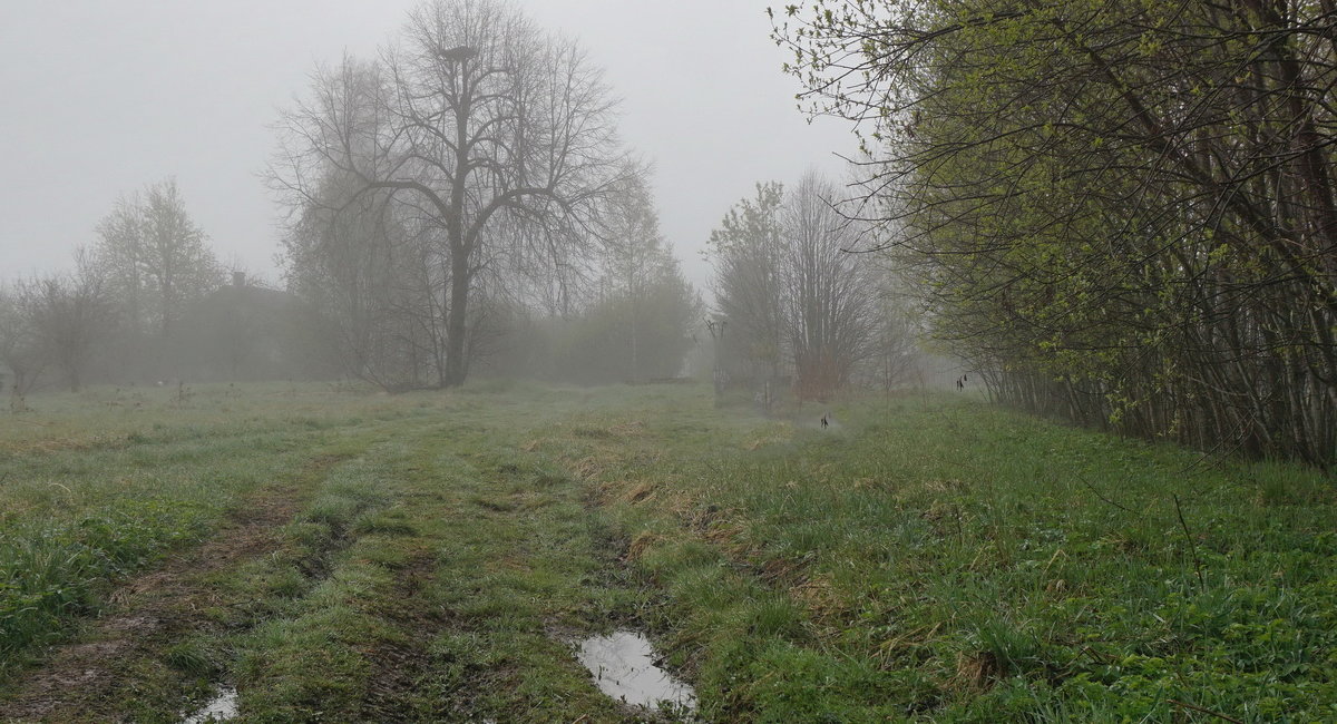 Прямо в туман весенний - Владимир Гилясев
