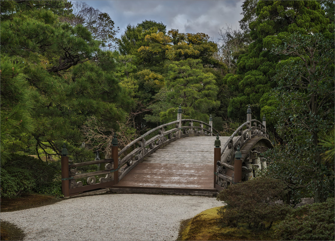 Горбатый мостик в саду императорского дворца Госё в Киото. - Shapiro Svetlana 