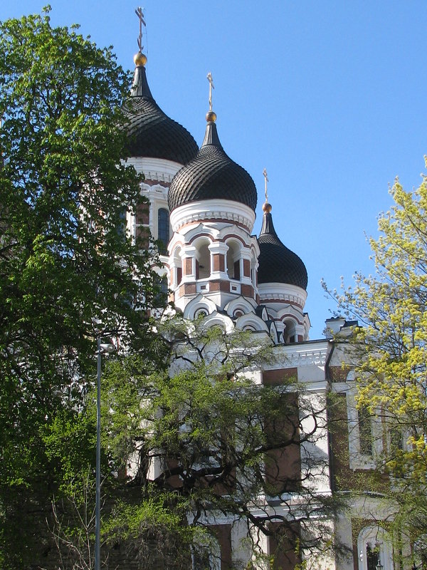 Таллин-Храм - Владислав Плюснин