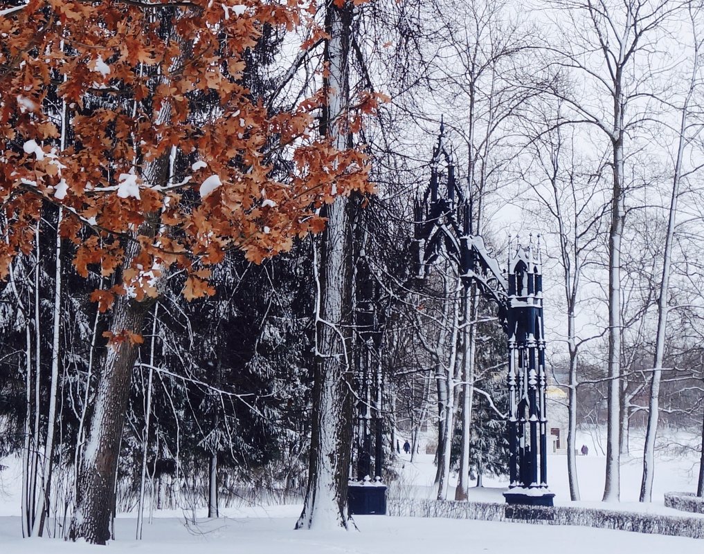 Готические ворота в зимнем Пушкине - Елена 