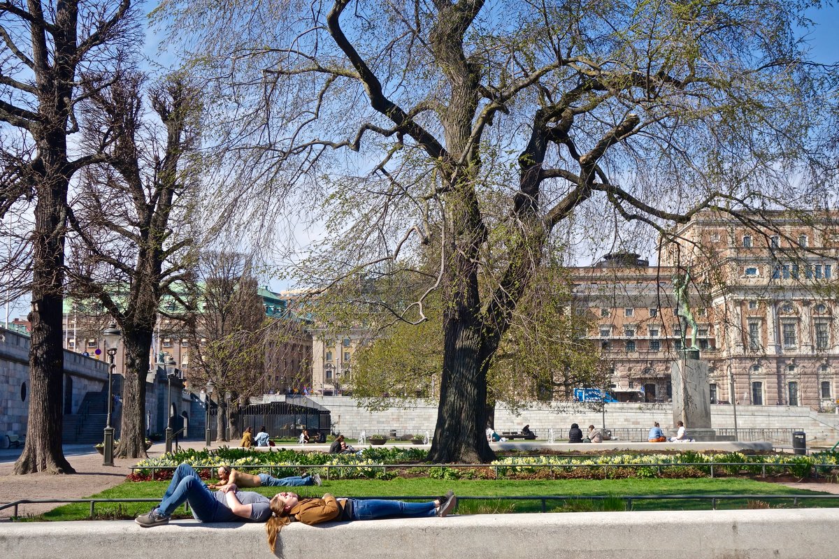 весна в Стокгольме - Елена 